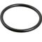 Sloan O Ring For Tail Piece for Sloan Part# -5308696