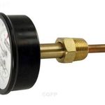 Raypak 007399F TEMP/PRESSURE GAUGE