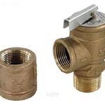 Raypak 011912F PRESSURE RELIEF VALVE