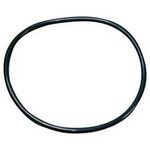 O-Ring (Steamer Gasket) for Roundup Part# 0200187