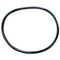 O-Ring (Steamer Gasket) for Roundup Part# 0200187