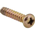 Screw, Phillips Head for Waring/Qualheim Part# 027181