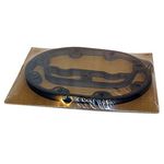 Cylinder Head Gasket for Carlyle Part# 06EA503334