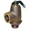 Safety Valve for Garland Part# 076005-3