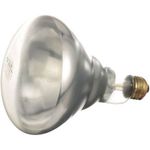 Infra-Red Lamp (Clear) 125V, 250W for Atlas Part# 1046-3