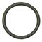 O-ring for Stoelting Part# 1147668