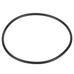 Everpure 151120 O-Ring, Buna-N#241, Std, UPC, Bulk