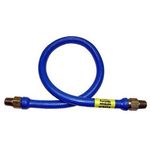 Dormont - 16125BP60 - 60 in 1-1/4 in NPT  Blue Hose® Heavy-Duty Gas Hose