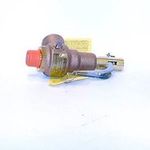 1x1 100# 1152PPH Relief Valve For Conbraco Industries Part# 19-KEEA-100