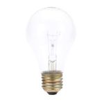 Structural Concepts 20-29814 Light Bulb, 60 Watts, 230 V, Safety Coated