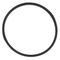 WARING - 024268 - GASKET,LOCK NUT