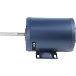 Lang 2U-30200-17 Motor, 1/3 HP, 208-240V, 1PH, 2 Speed