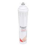 Everpure 300-05832 Everpure Filter Cartridge, 22CET6.1