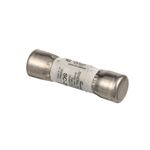 Fuse for Toastmaster Part# 3024A8729