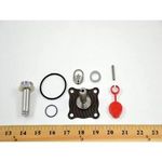 REPAIR KIT For ASCO Part# 304-477