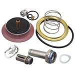 Repair Kit for Asco Part# 304394