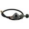 41196 - Hose & Regulator Assembly - LP Gas