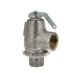 Safety Valve for Legion Part# 440168