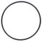 HOSHIZAKI - 4A4755-04 - O-RING JIS G90