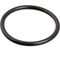 800-9954 - SLOAN O RING FOR TAIL PIECE