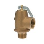 All Points 56-1010 8 PSI Steam Safety Relief Valve - 3/4" NPT, 446 lb./Hour