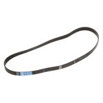 Saniserve Serpentine Belt for Saniserv Part# 58880G