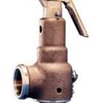 1.5"x 1.5" 150#Steam 4234#HR For Kunkle Valve Part# 6010GGM01-AM0150