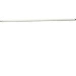 True 801156 Lamp, F025/865/XP/ECO, 36"