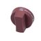 8050231 - Knob, Pilot, Mcb, Red -Plasti