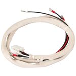 FRYMASTER - 8062076SP - HARNESS WRNG H50-FV AGA