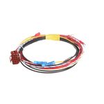 8105215 - Low Voltage Harness -Gas Roti