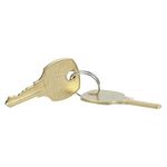 True 829424 Set of 2 Keys