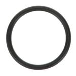 Server 85248 O-Ring, 1 3/16"