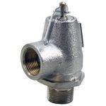 Cbr023 3/4In P/T Relief Valve 805 Lb/Hr