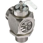 Valve, Steam Safety -3/4", 50 Psi for Accutemp Part# AC-3-SRV9-1