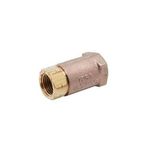 T&S Brass B-CVH1-2 CHECK VALVE, 1/2 NPT FEMALE, HORIZONTAL