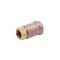 Check Valve, 1/2 Npt  Female, Horizontal for T&S Brass Part# B-CVH1-2