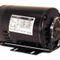 3/4HP 115/230v 3450rpm 48 Mtr For Century Motors Part# BF1072