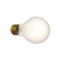 38-1481 - BULB, LIGHT - 100W/130V