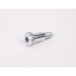 Stripper Plate Bolt For Doughpro Part# Bs1234P