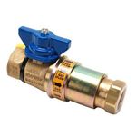 Disconnect/Valve (1",Sfty Qd) for Dormont Part# CF100