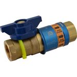 Disconnect/Valve(3/4",Sfty Qd) for Dormont Part# CF75