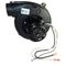 1/20Hp 115V 3200Rpm Inducer for Regal Rexnord - Fasco Part# D9620