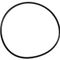 O-ring,housing for Everpure Part# DEV3093-50