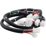 Harness,Wire (Ce)  for Frymaster Part# FM8072285