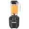 HAMILTON BEACH - HBH455 - BLENDER (TANGO, 48 OZ, POLY) HBH455