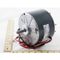 230V 1/5HP MOTOR For Carrier Part# HC37GZ004