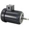 Motor - 2Hp For Stero Part# P41-1341