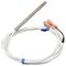 BLODGETT - R0022 - THERMISTOR 30K OHM PROBE