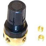 1/8"AirReg2/125#out300#inBrass For Parker Watts Fluid Air Part# R364-01C